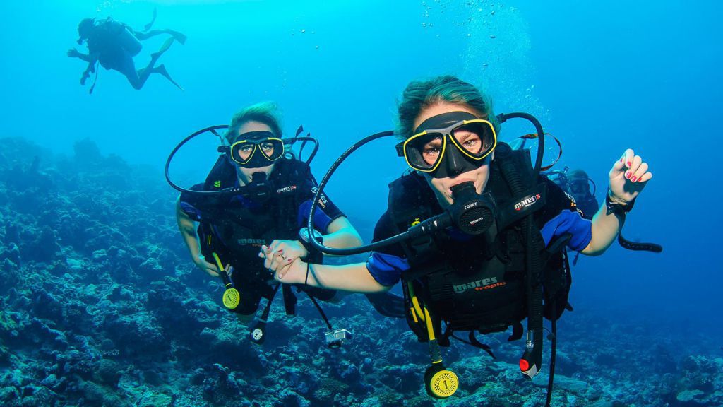 Diving Les Illes