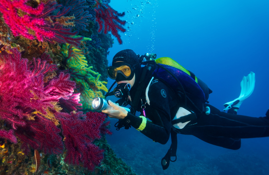 Inmersiones Green Diving