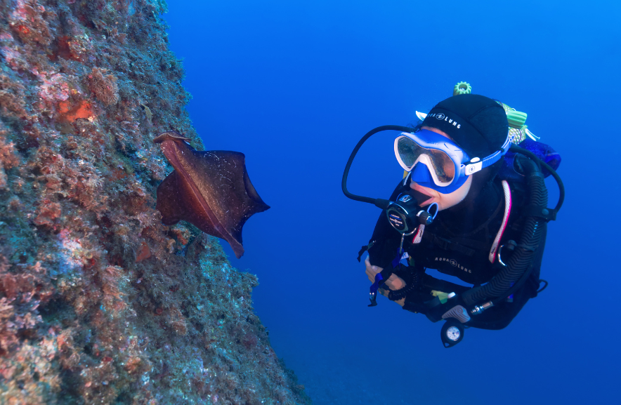 Buenas prácticas de buceo