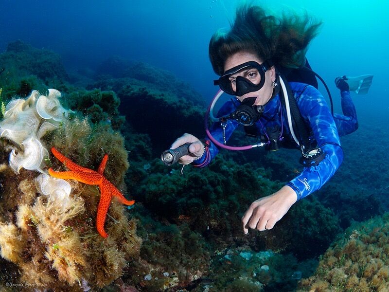 Divergente Buceo
