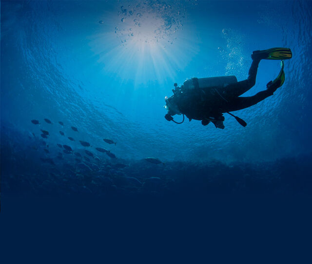 Green Diving Spain